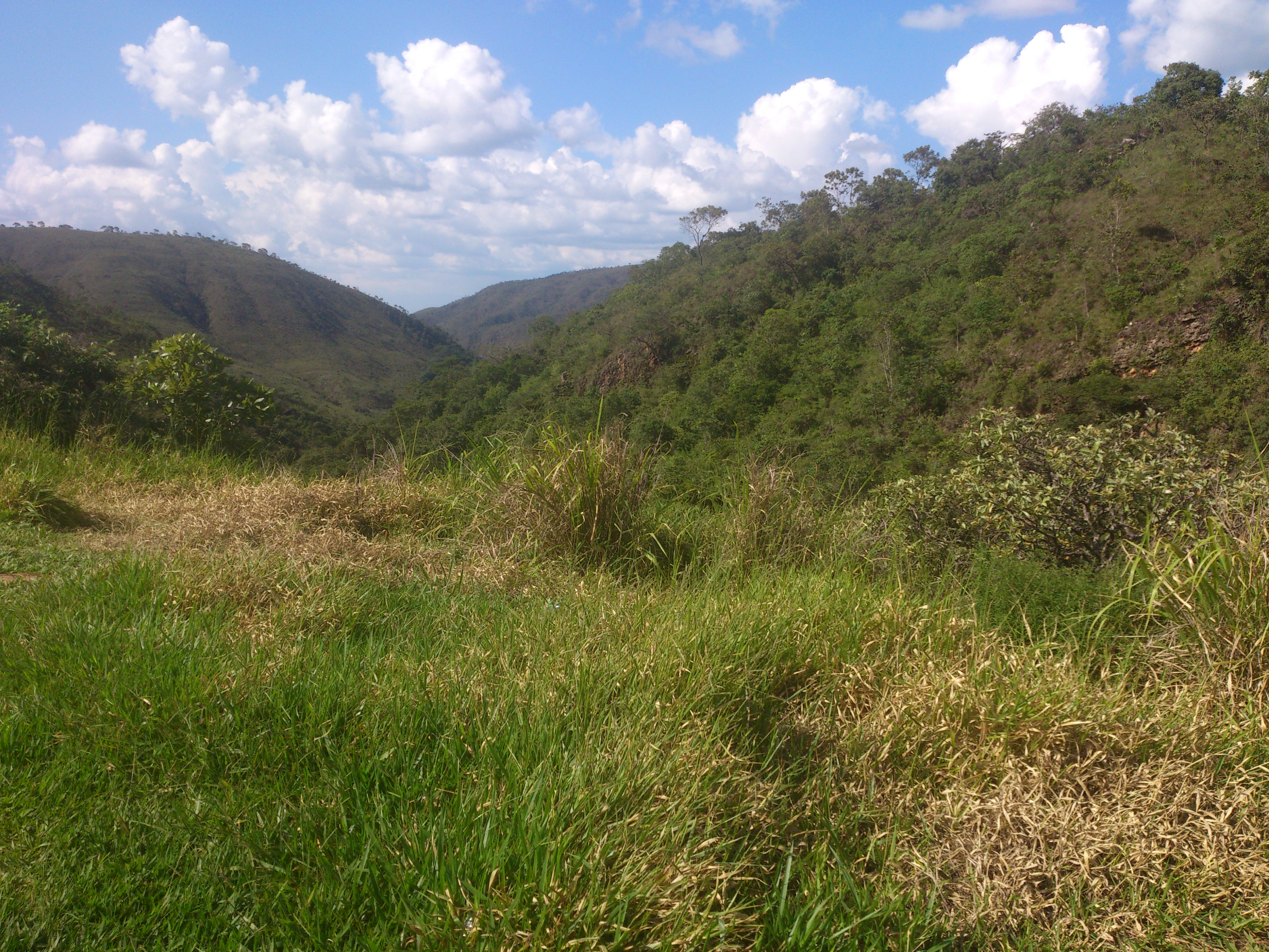 teste3 - imagem 8
